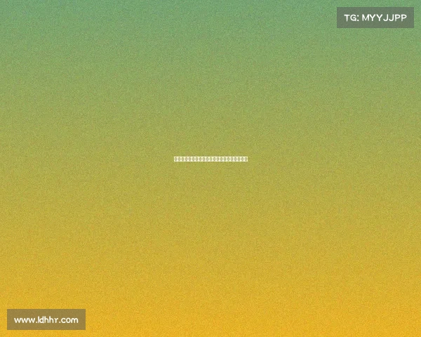 泰拳风云激荡真实赛事视频精彩回顾与荣耀篇章