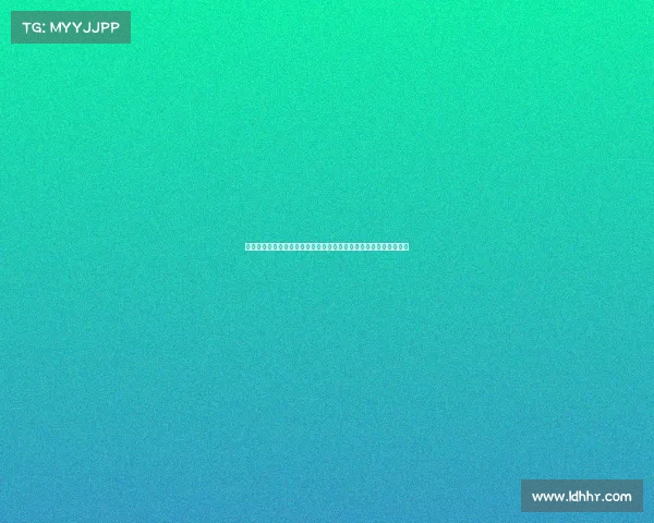 武林风赛事深度探秘带您领略搏击艺术魅力分享选手故事与对决精华