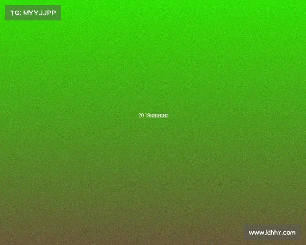 2019鹏程杯成绩查询