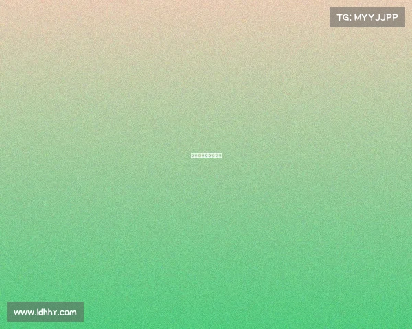 关于餐费报销的规定